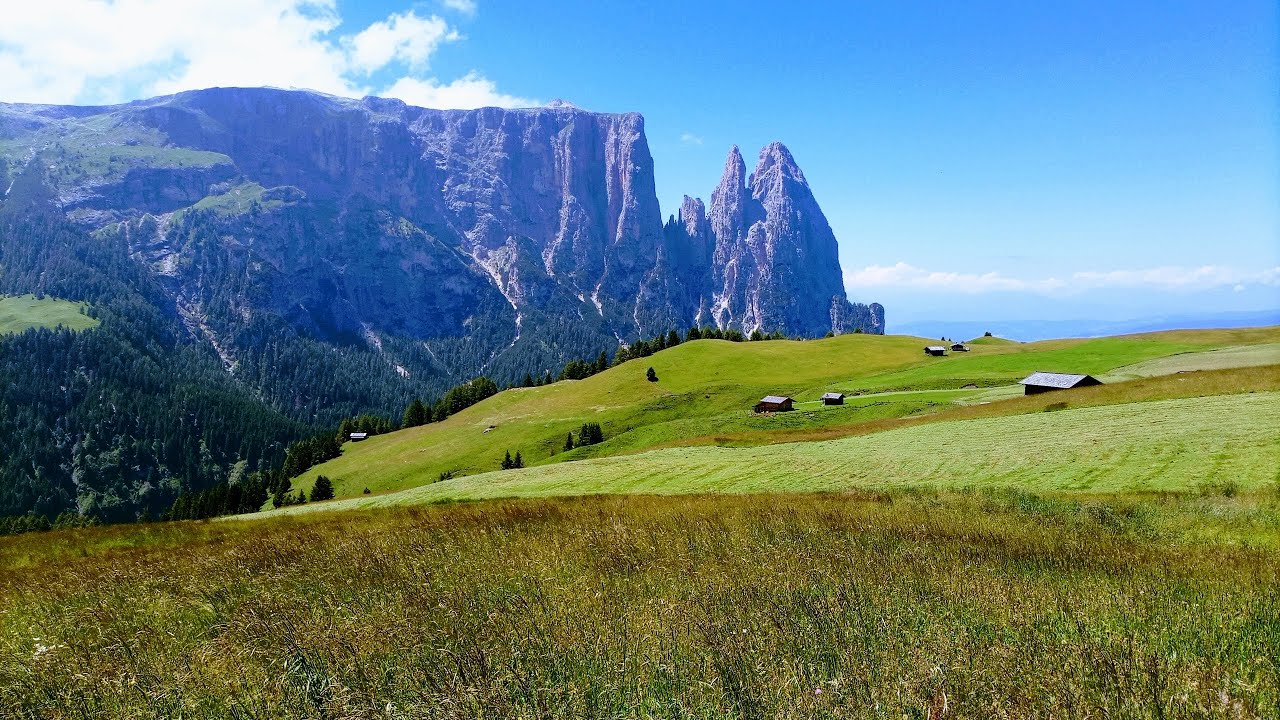 Wandern mit Hund in Südtirol 2023 @neckarman
