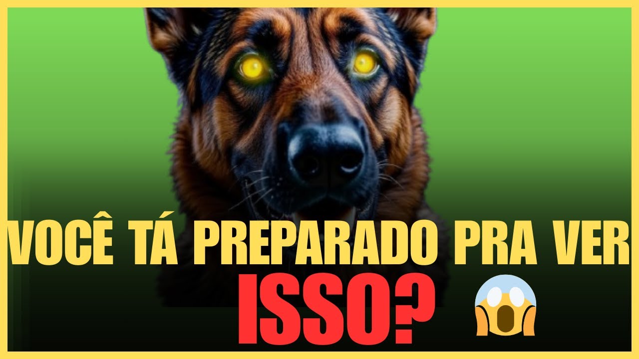 PASTOR ALEMÃO É PERIGOSO? O que você vai ver aqui pode te assustar!