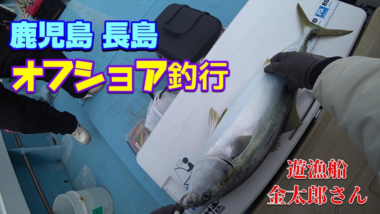 看護師さんと鹿児島長島オフショア釣行 【遊漁船 金太郎さん】