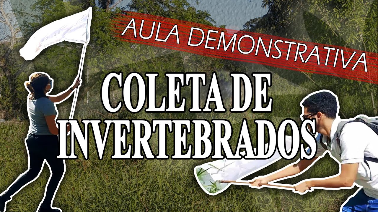 COLETA DE INVERTEBRADOS - AULA DEMONSTRATIVA PRÁTICA | Zoologia dos Invertebrados I