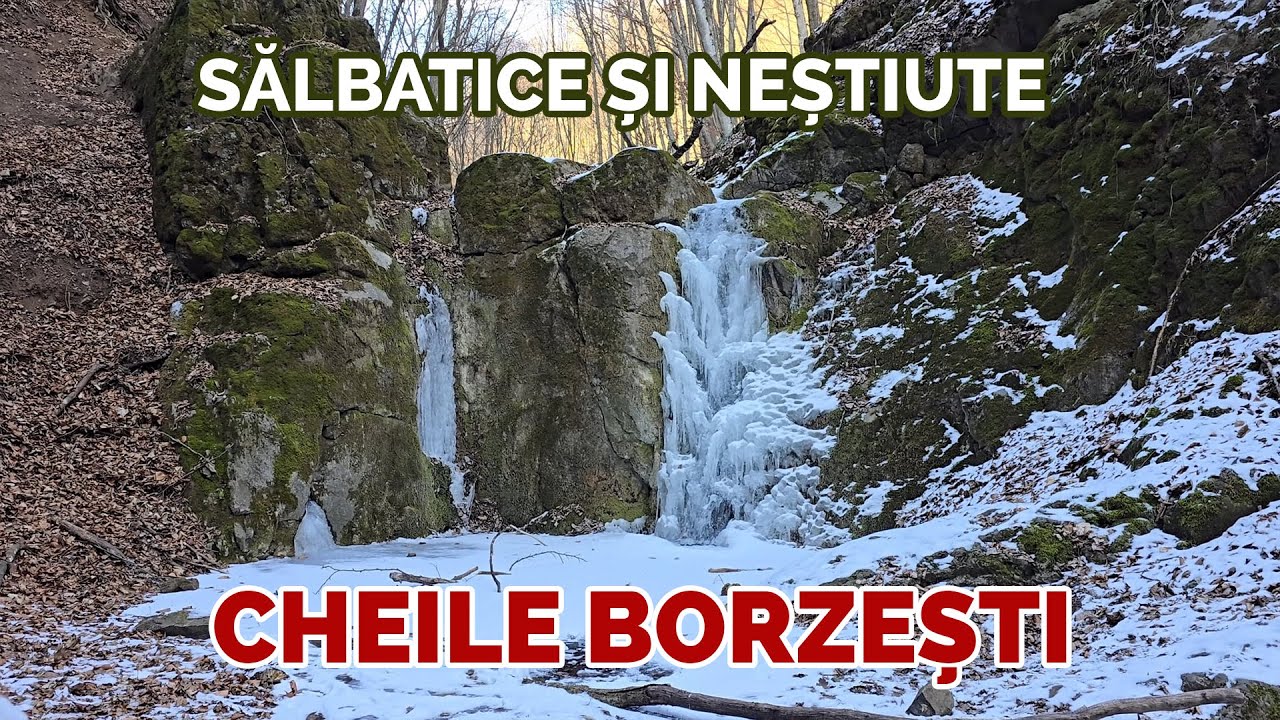 Cheile Borzești, pe Firul Apei &Icirc;nghețate - Natură Spectaculoasă la un Pas de Cluj-Napoca!