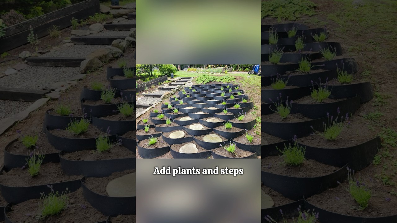 Plant on a Slope the Smart Way | Dirt Locker&reg; Erosion Control