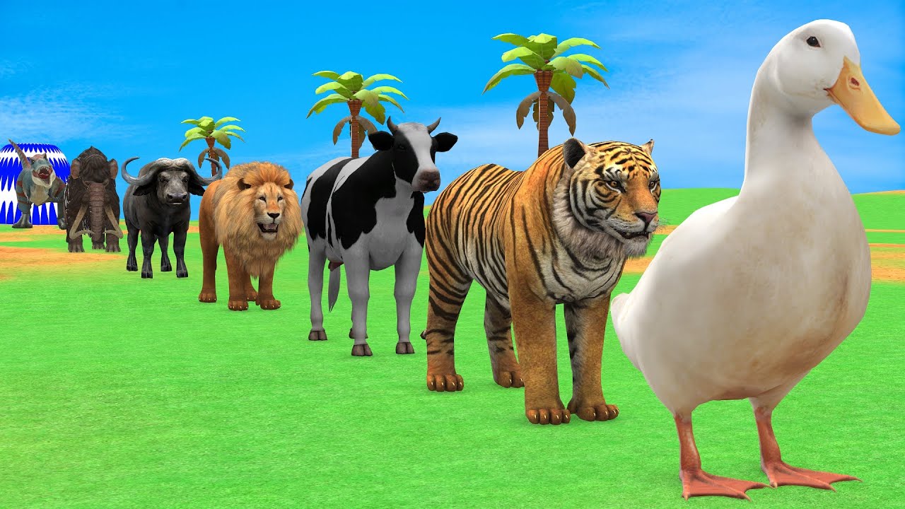 Long Slide Game with Cow Elephant Gorilla Hippopotamus Tiger 3d Animal Game Funny 3d Animals