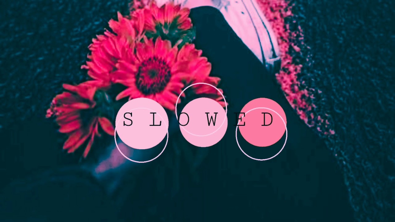 sᴏғɪᴀ_ ᴀ́ʟᴠᴀʀᴏ sᴏʟᴇʀ// S L O W E D