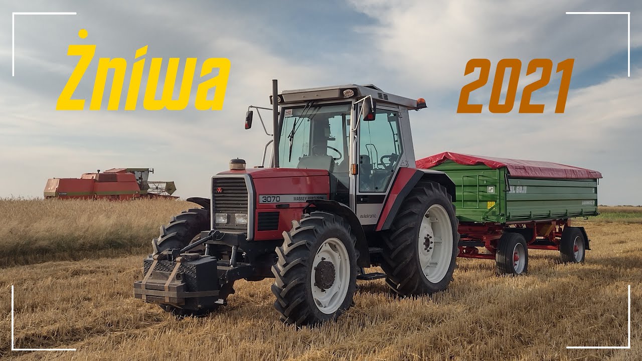 ŻNIWA 2021!!! ㋡ 🔥 Dronningborg // Massey Ferguson 3070 ☆ .Agro 6 TV. ㋡
