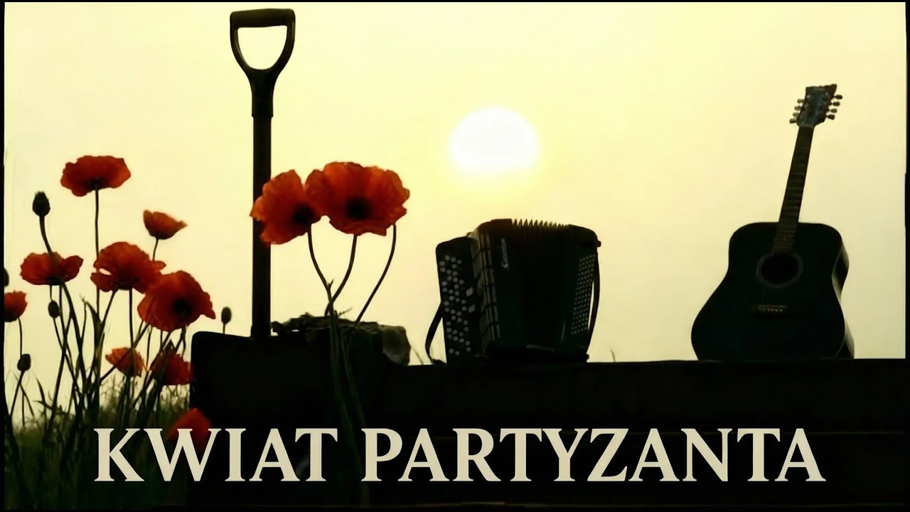 Kwiat partyzanta 🕊️🎶