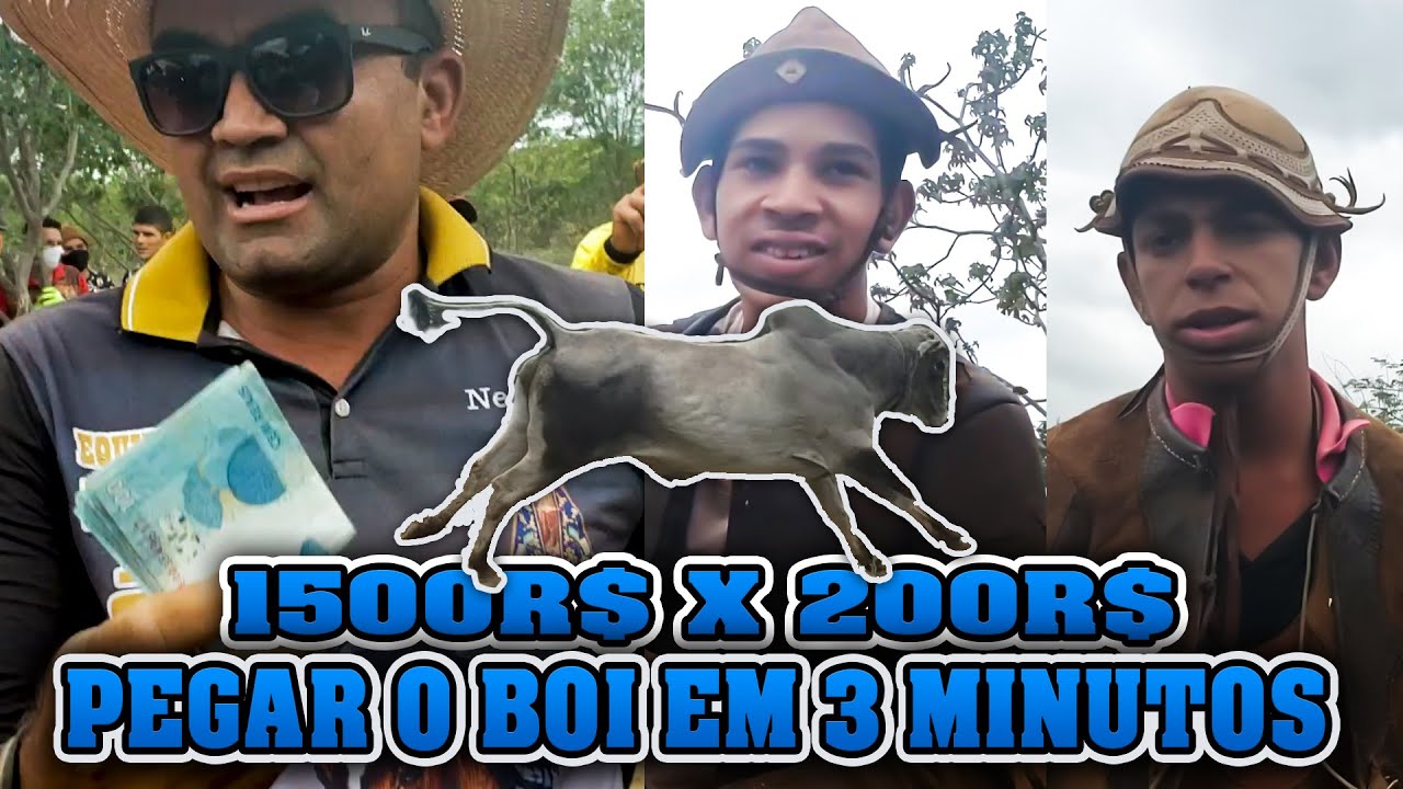 Vaqueiros tem que Pegar Boi NELORE em 3 minutos pra Ganhar 1500 reais