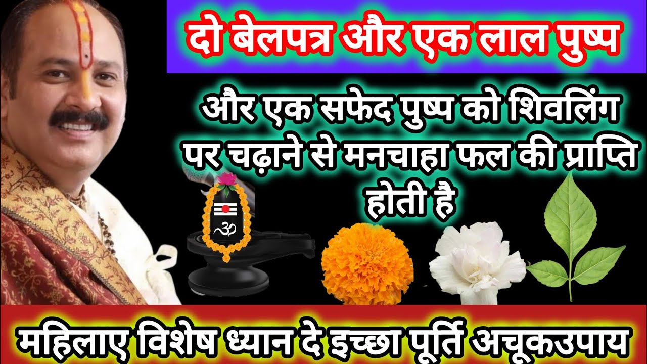 दो बेलपत्र और एक लाल पुष्प और एक सफेद पुष्प की शिवलिंग पर चढ़ाने से मनचाहा फल की प्राप्ति होती है।।