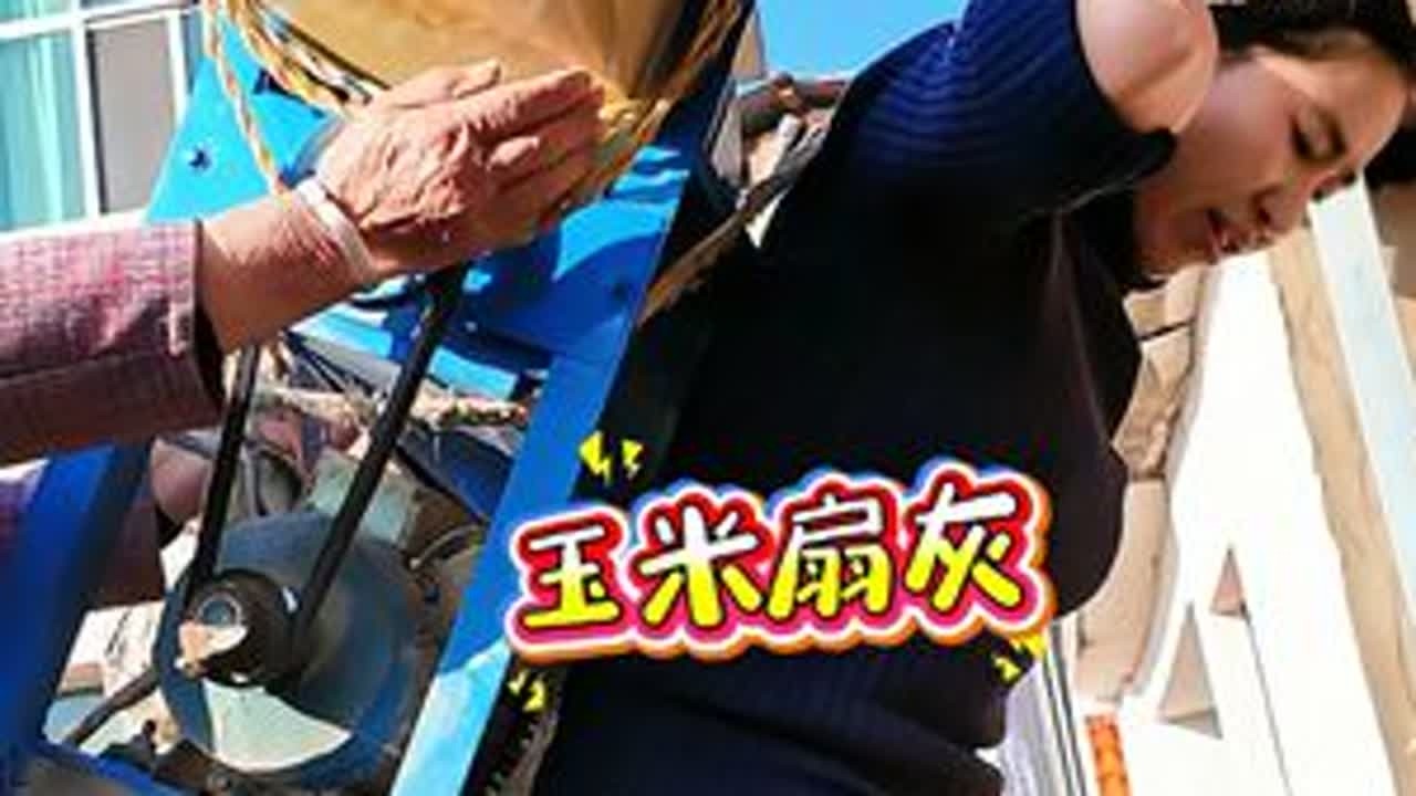 玉米扇灰...记录花嬢嬢的农村生活 #新农人计划2026 #乡村守护人 #星乡村星农人 #记录我的农村生活 #乡愁记忆
