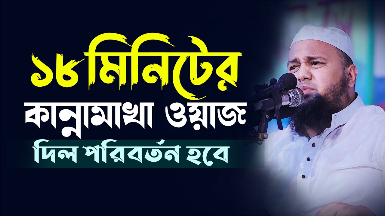 ১৮মিনিটের কান্নামাখা বয়ানটি শুনুন দিল পরিবর্তন হবে ইনশাল্লাহ Mufti Dilawar Hossain Maizi