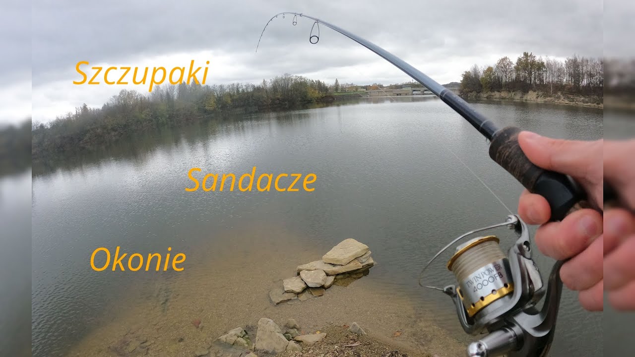 Sandacze, szczupaki i okonie w jesiennym klimacie na zbiorniku zaporowy w Sieniawie