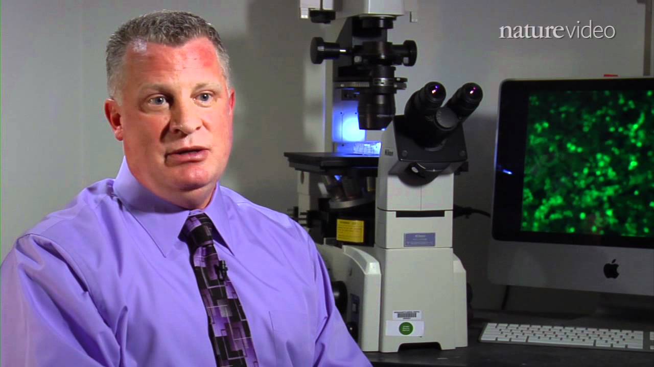 Stem cells put women on fertile ground - by Nature Video