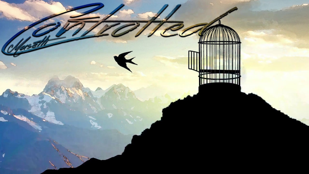 Masetti - Controlled