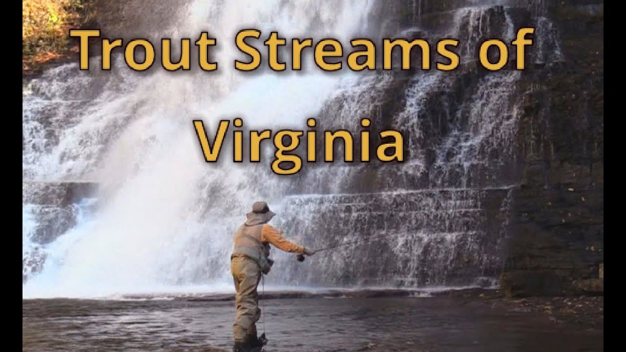 Trailer Trout Streams of Virginia