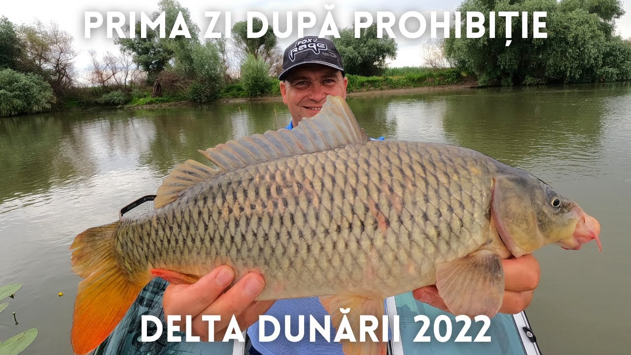Activitate intensa la Crap pe canalele din jurul satului Mila 23, Delta Dunarii.