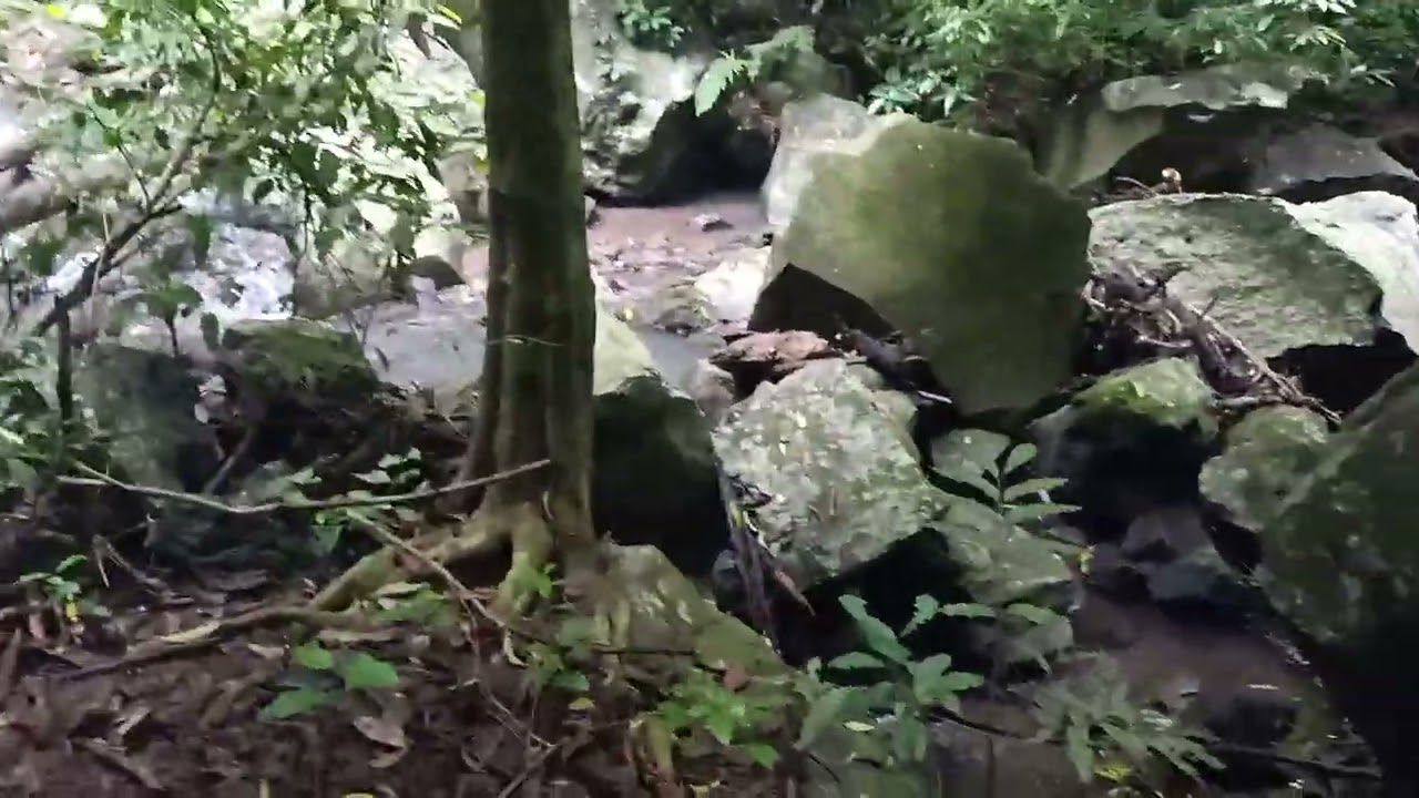 Jalur menuju air terjun selir lebah madu desa jeringgo suela lombok timur