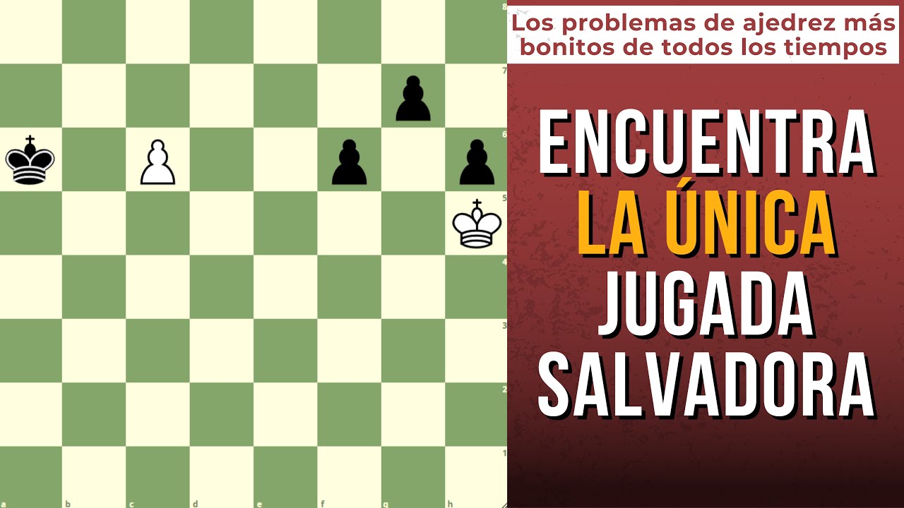 Solo una técnica brillante salva las tablas para las blancas