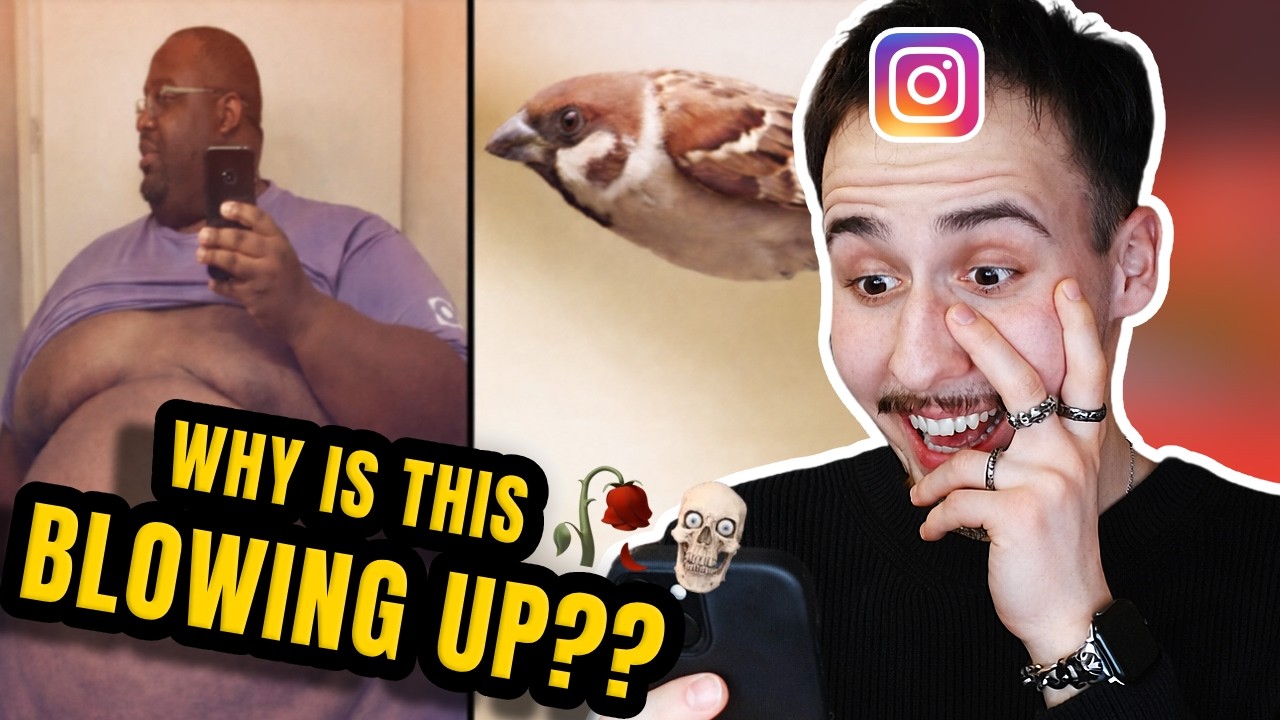 Instagram Reels Are Genuinely Cheeks…🥀 (it's all over the screen)