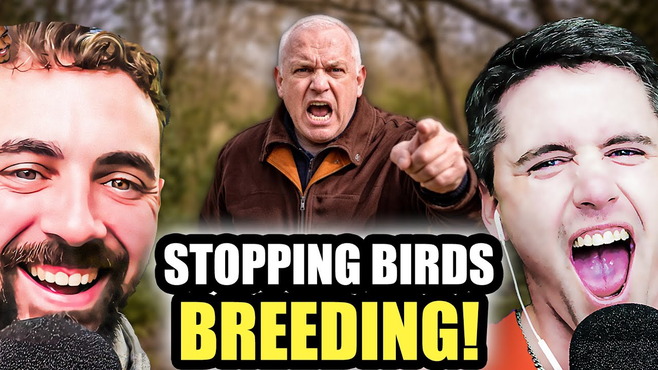 THE UK SHOULD BE ILLEGAL! | Reaction