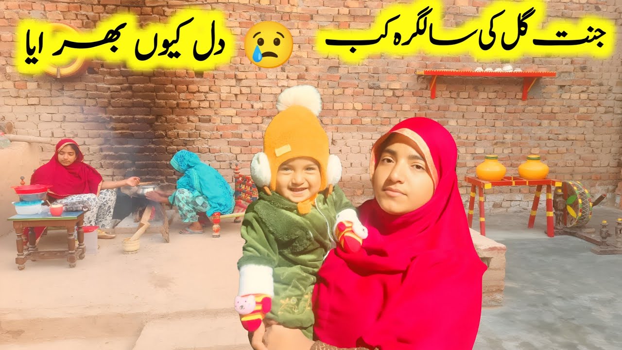 😢 I Got Emotional | Jannat Gul ki kab hai | Village traditional kaleji pota | Punjabi pendu Vloger