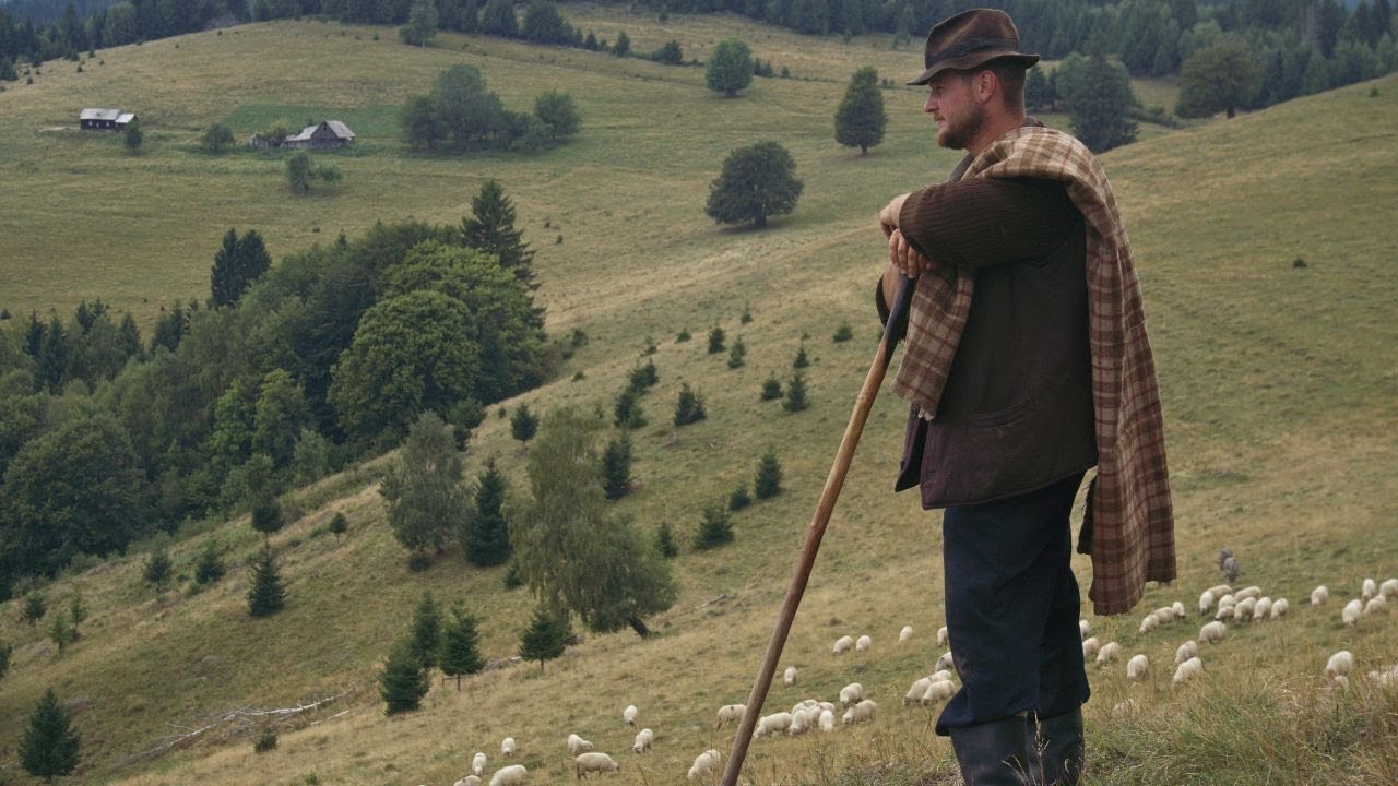 How hard is to keep a tradition alive. A Transylvanian struggle story in the mountains