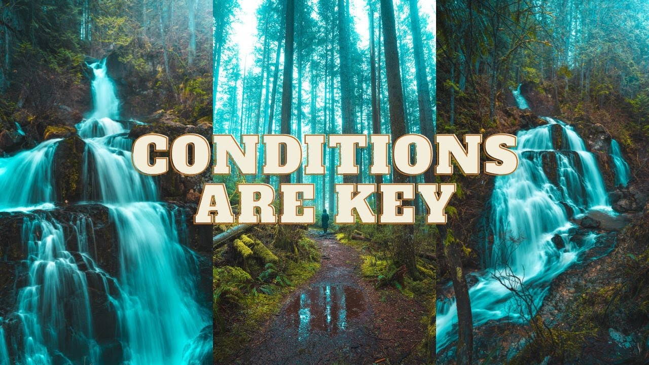 These Conditions Are KEY For Moody Forest Photography