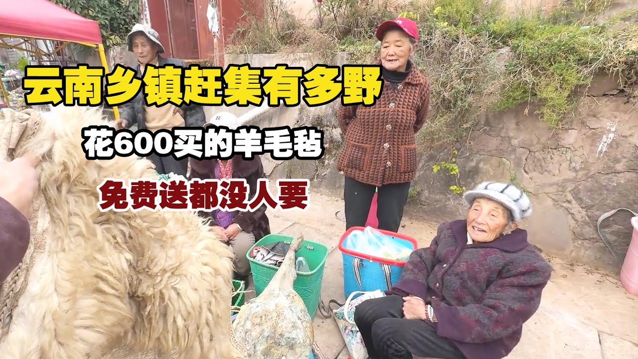 云南乡镇赶集有多野？偶遇天价菌，最后却栽了个大跟头！【小白的奇幻旅行】