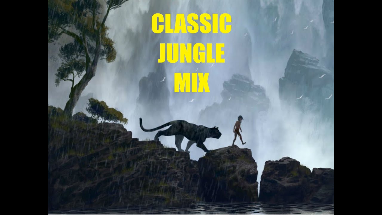 Classic feel good Jungle mix