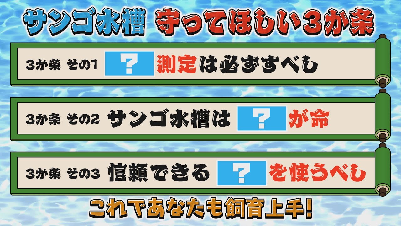 水槽の設定数値を大公開！　これを守れば自宅に〝海〟を再現できる《サンゴ水槽》【2022年7月号 vol.1】