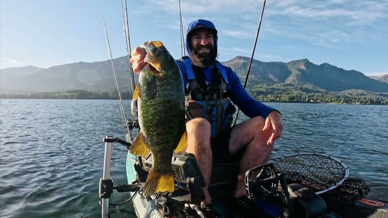 Smallmouth glide bait madness 2025