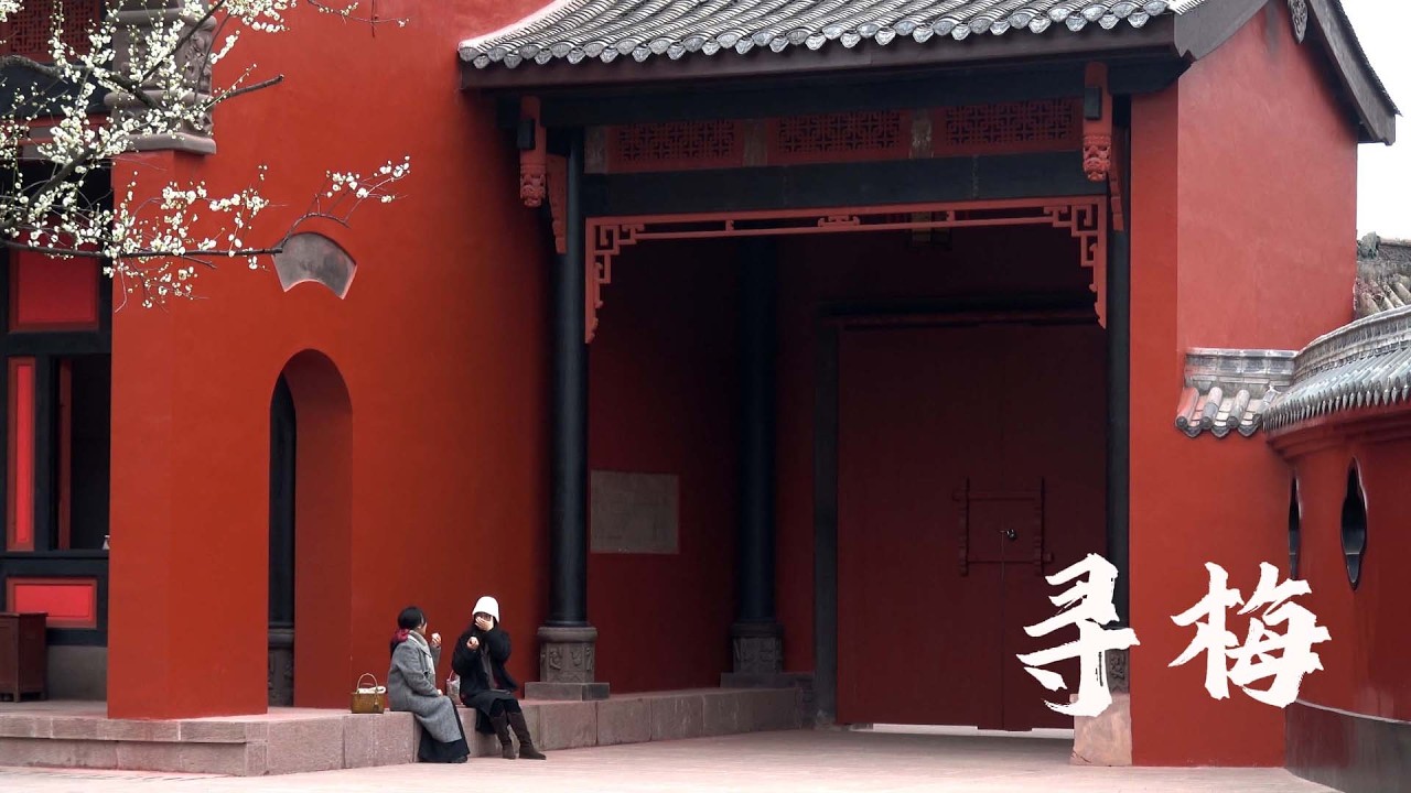 暗香浮动，梅香满城，Chengdu is full of plum blossoms in February