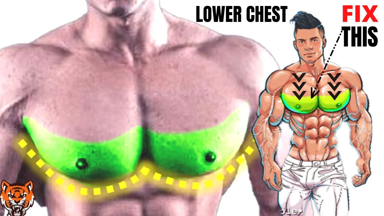 25  BEST LOWER  CHEST  WORKOUT AT GYM / Meilleurs exs Musculation  BAS  DE LA POITRINE .