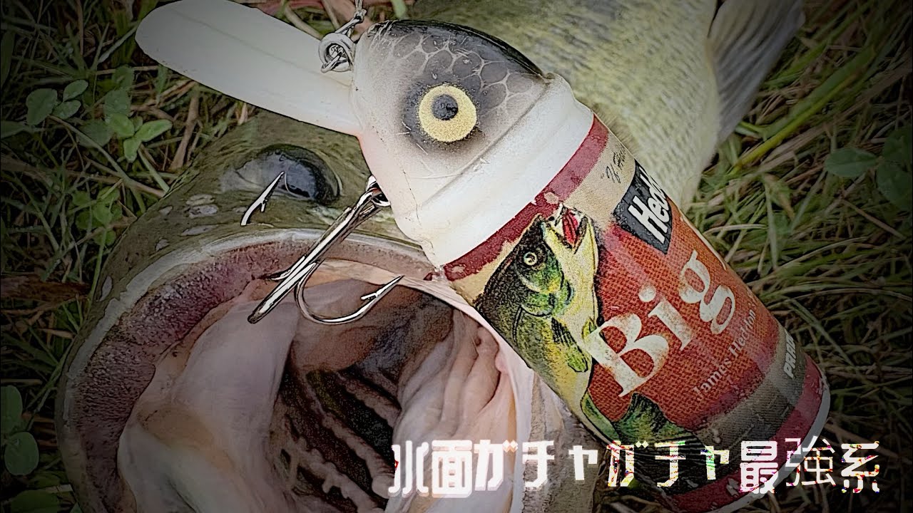 トップ大好きおじさんプレゼンツ🎁【ビッグバド】で釣るコツ！￼