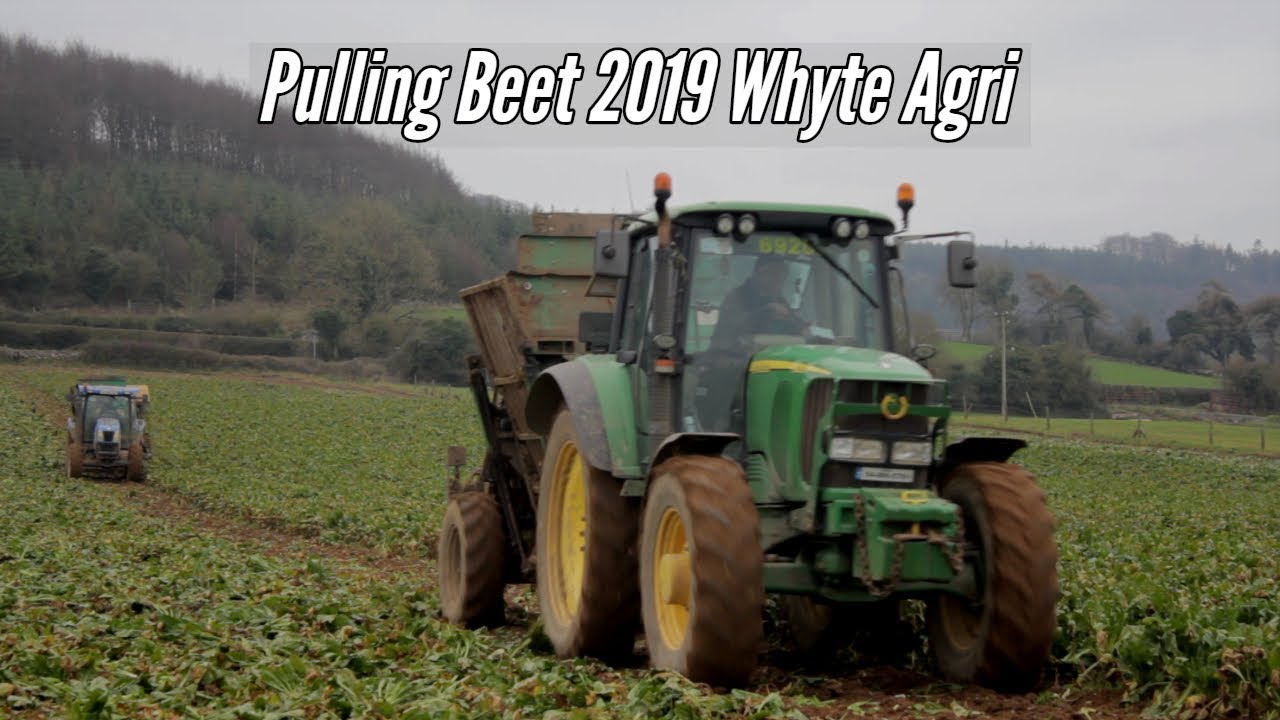 Pulling Beet 2019-Whyte Agri