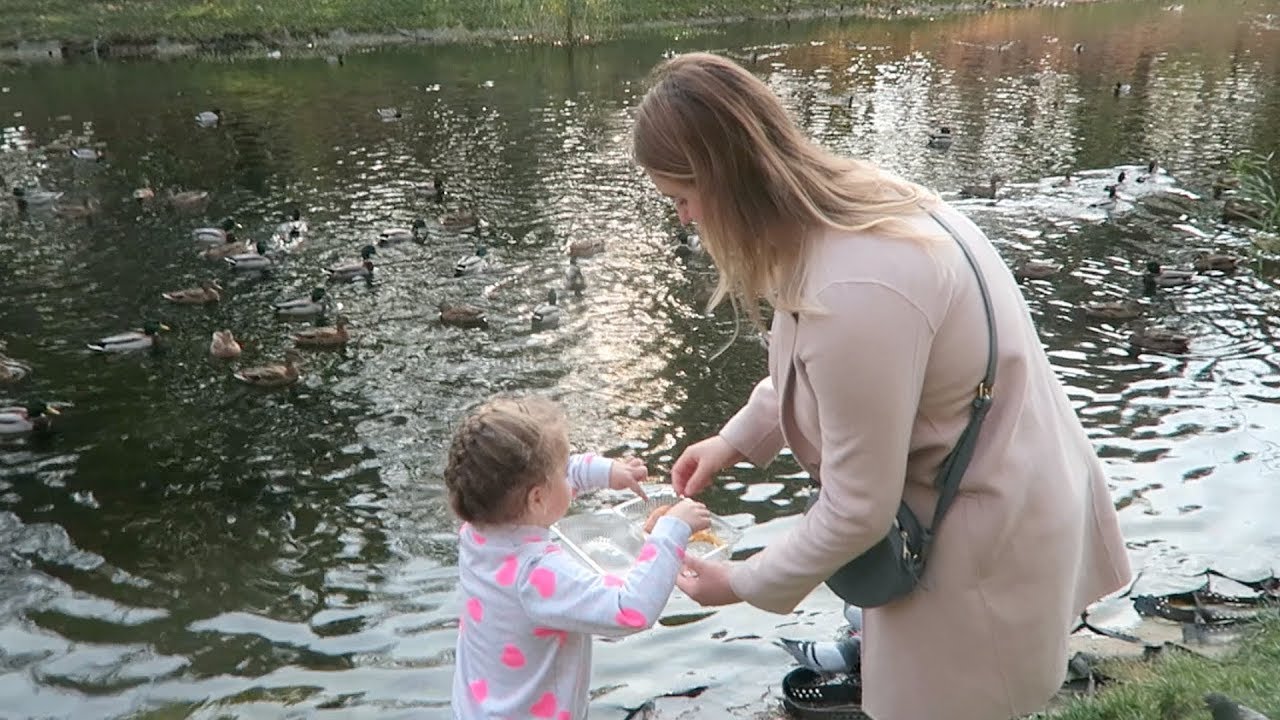 Племяшка и домашние дела)