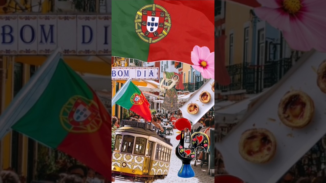 #portugalidade #portugalviral #mesquita #mesquitasPorto #leidanacionalidade