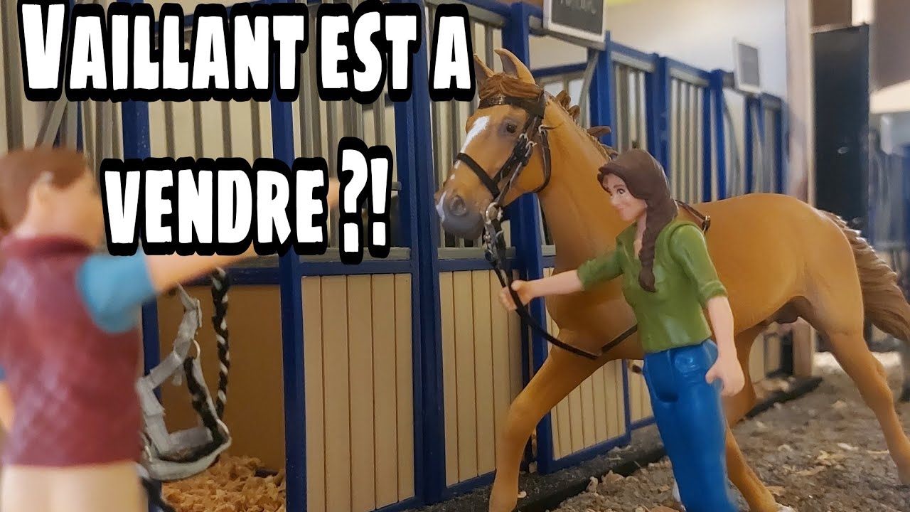 [VLOG] Une journée au Haras, partie 1 : Vaillant va partir ?