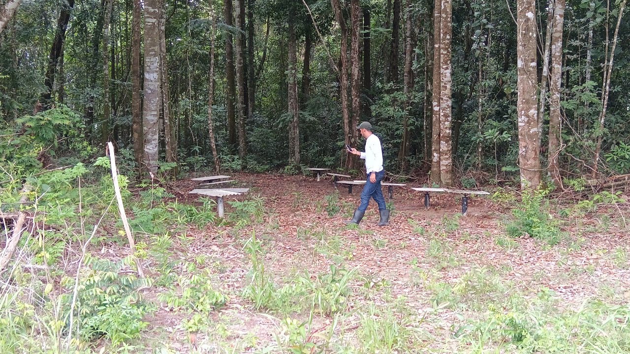 Resultado das transferências das caixas de abelha que estavam na varanda da casa 