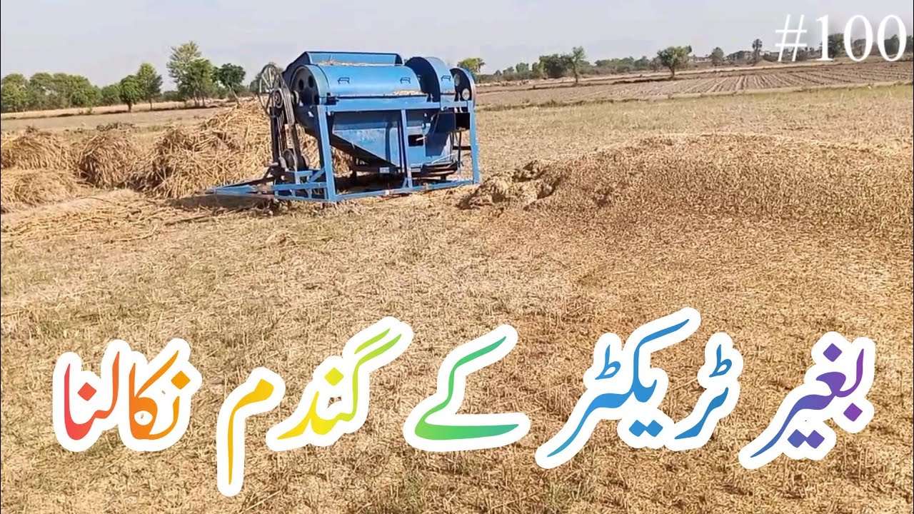 Aj phir Gundom nikalana ka kam tha 😳😳 | #villagelife #vlogpakistan #pakistanvillagelife