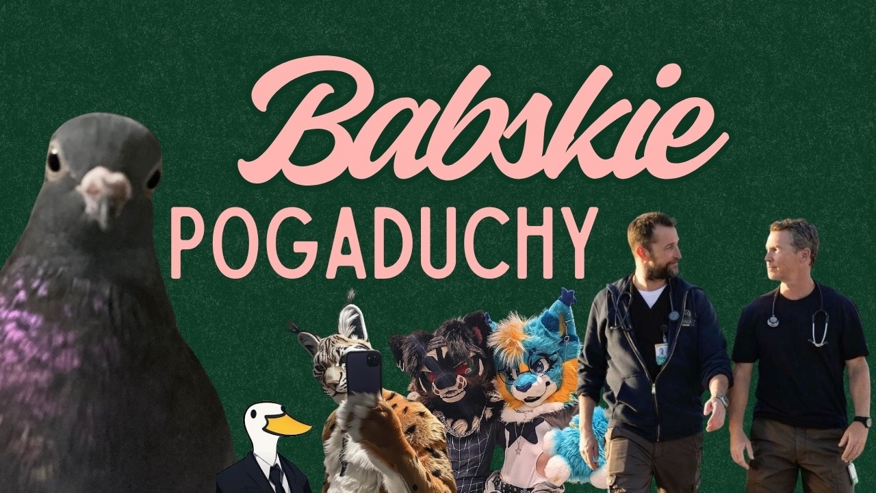 BABSKIE POGADUCHY [KACZKI, GOŁĘBIE, FURASY, THE PITT]