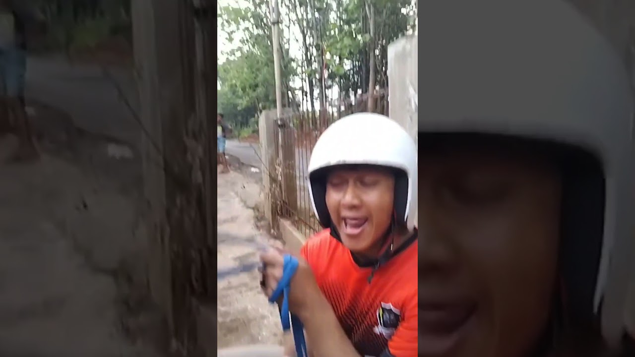 Viral kuda renggong Si Ganira #ganirachannel #kuda #iringiringankudarenggong #shorts