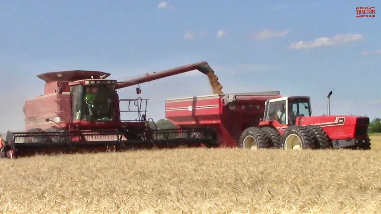HARVESTING Wheat & Straw