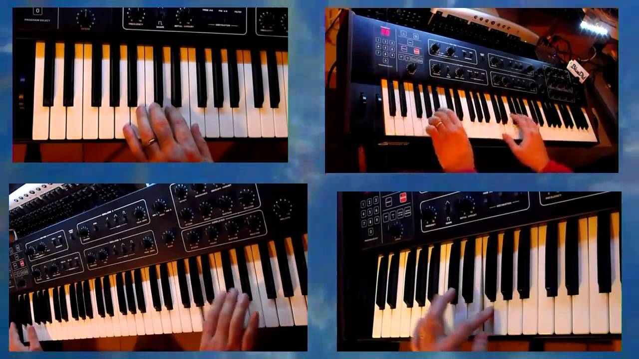 Prophetbluesd - PROPHET 600 - BlueDid