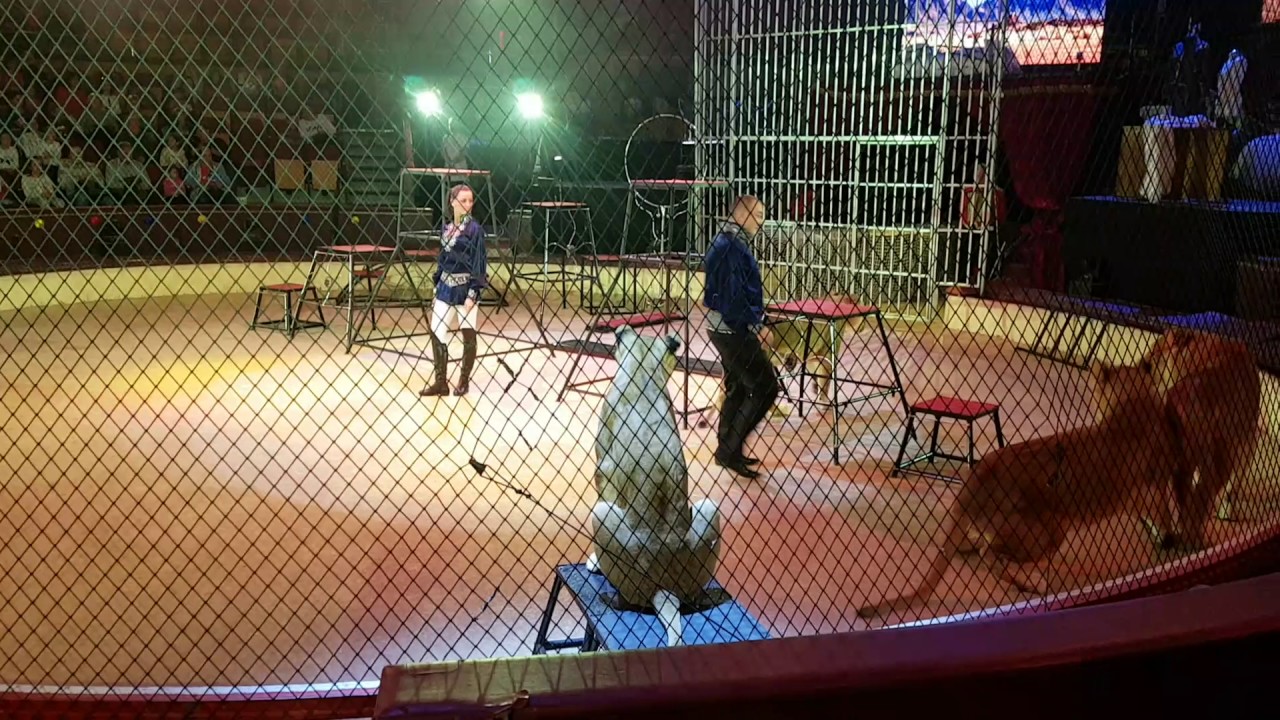 Duo Arkan Show dec 2016 Budapesta Nagycirkusz
