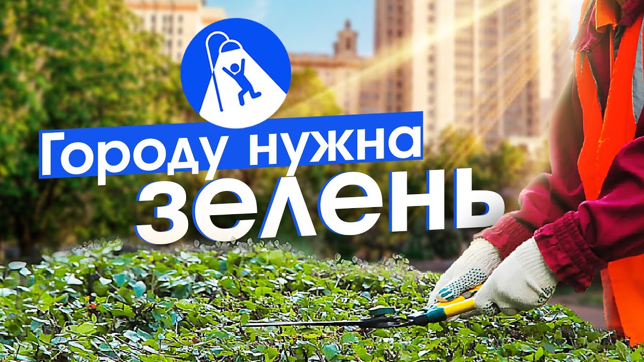 Зачем нужно озеленять город и чем хороши тополя на улицах