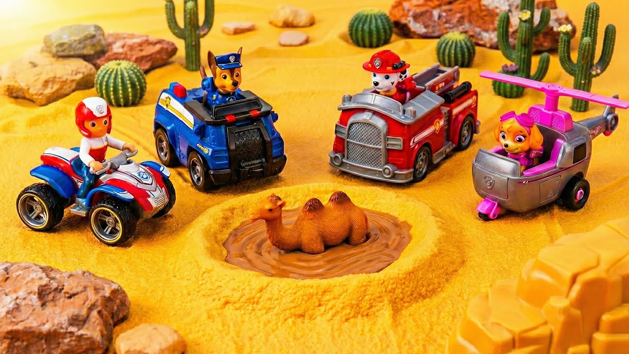 PAW Patrol Rescues Camel Trapped in Quicksand! PAW Patrol | Toys Pretend Play