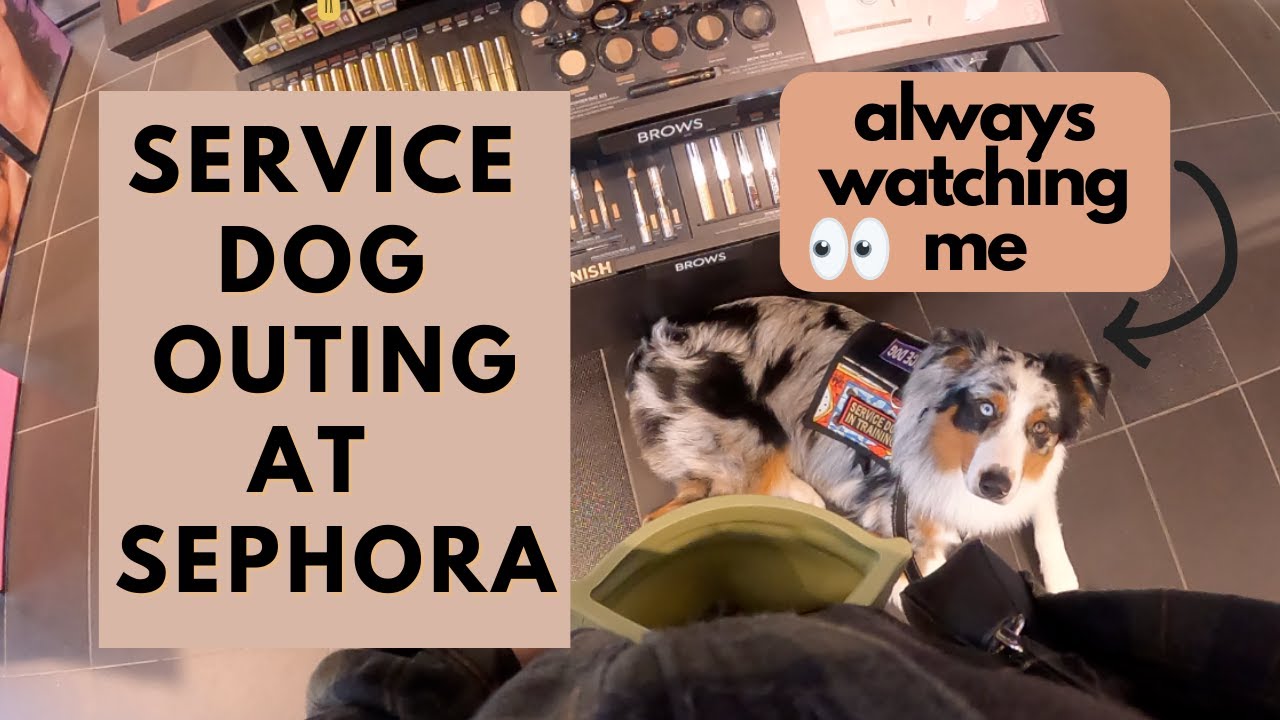 Service Dog Outing at Sephora | Service Dog Training | AstroFromTheBlue ~ Public Access Training