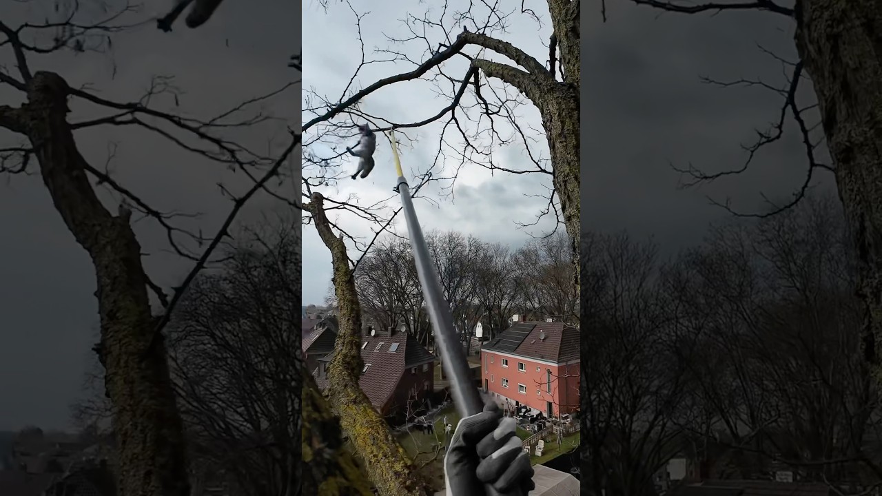 Kater vom Baum gesto&szlig;en #katze #tierrettung #animalrescue