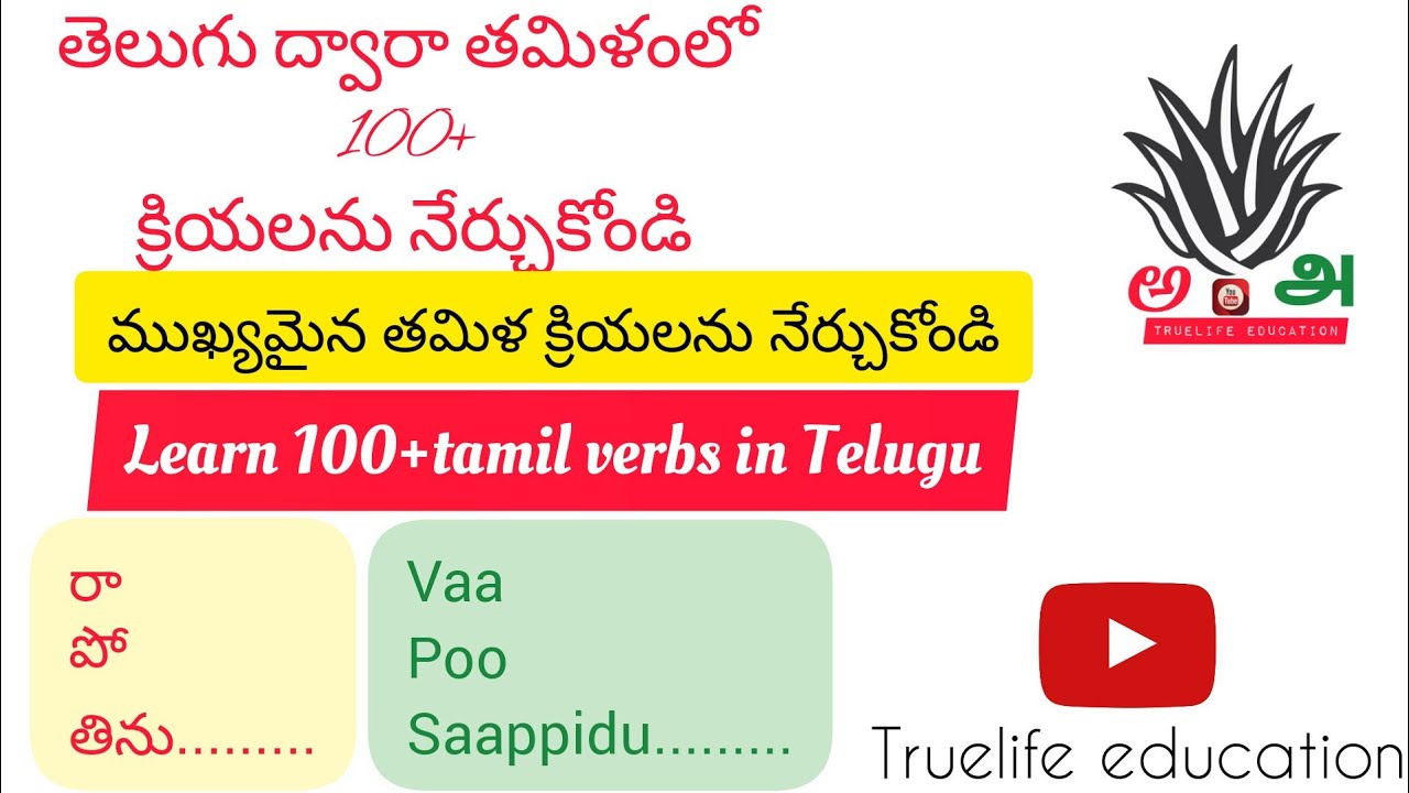 తెలుగు ద్వారా తమిళ క్రియలను నేర్చుకోండి | Telugu to Tamil | learn tamil | truelife education | tamil