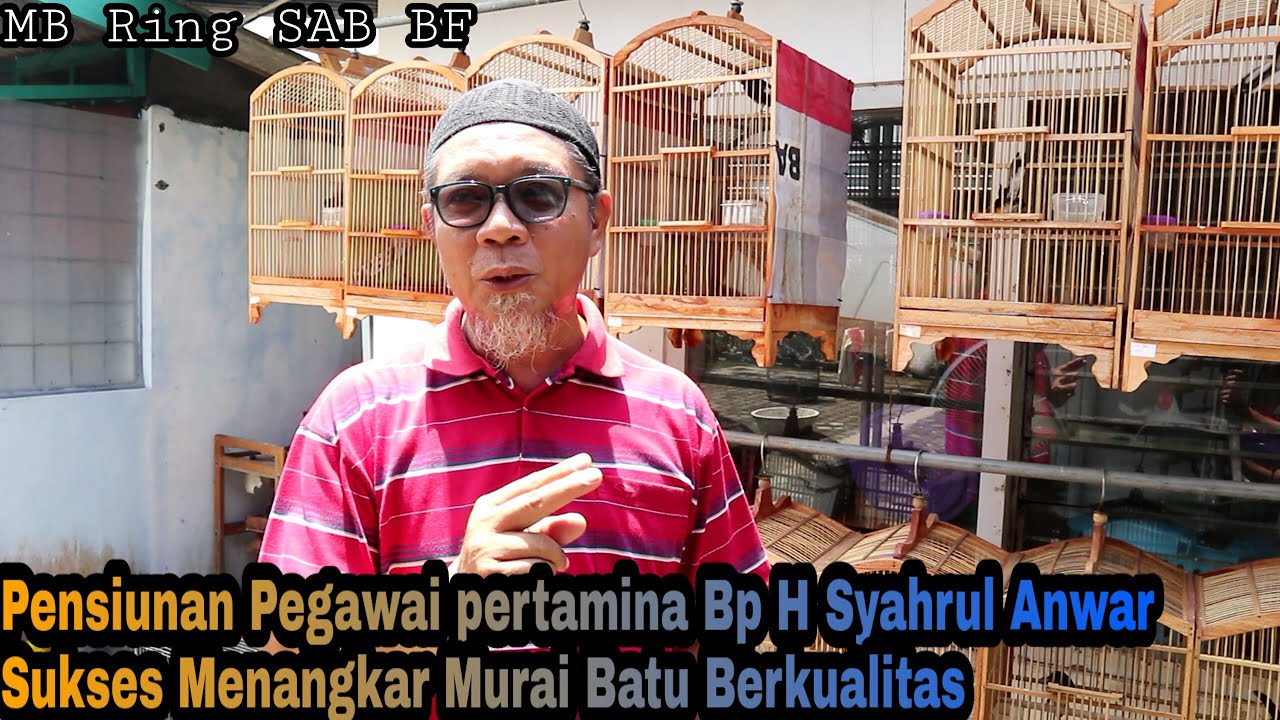 PENSIUNAN PEGAWAI PERTAMINA SUKSES MENANGKAR  MURAI BATU BERKUALITAS